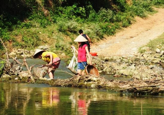 Thanh[-]Hóa:[-]Nước[-]sông[-]nổi[-]bọt,[-]cá[-]chết[-]hàng[-]loạt